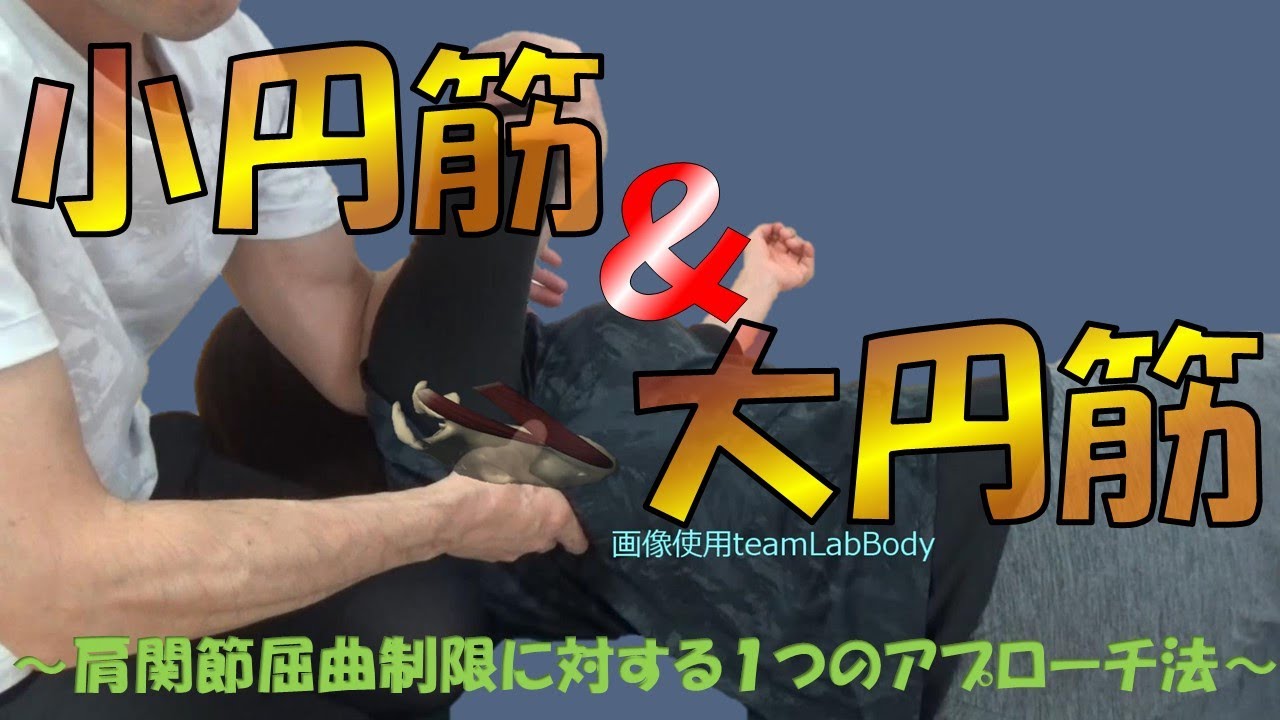 vol.338【肩関節】小・大円筋リリース‼ ～屈曲制限に対する１つのアプローチ法～