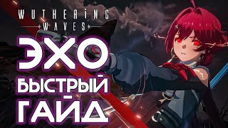 ДЛЯ ТЕХ, КТО НЕ ПОНЯЛ | WUTHERING WAVES БЫСТРЫЙ ГАЙД ПО АРТЕФАКТАМ #WutheringWaves