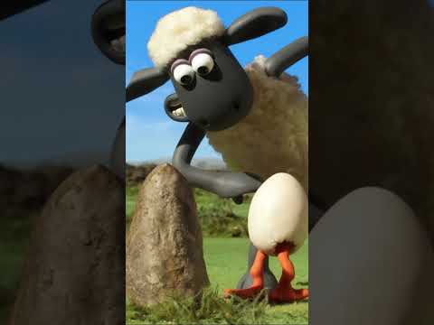 Shaun the driver🐑 Shaun the Sheep 🐑  - Cartoons for Kids 🐑 Full Episodes Compilation [1 hour]