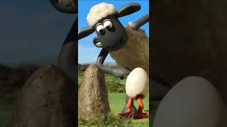 Download Lagu 🎁🐔 The Farm Is Full of Surprises!🐑🐑🐑#shaunthesheep #shorts MP3