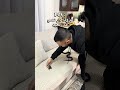عيد مبارك أعاده الله عليكم بالي من والبركات 