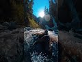 Relaxing Music &amp; Soft Rain Sounds.