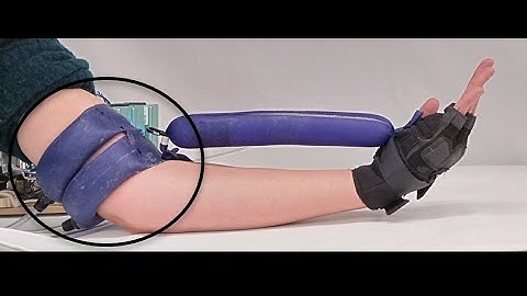 Stretchable Pneumatic Sleeve for Adaptable, Low-Displacement Anchoring in Exosuits