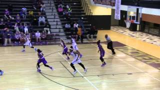 Brittanie Evans Basketball