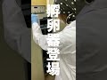 卵を孵卵器に入れます。【美里オーストリッチファーム】#shorts