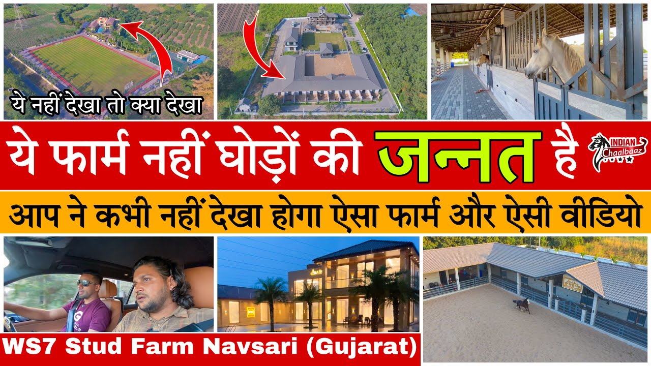 ये फार्म नहीं घोड़ों की जन्नत है आप ने कभी नहीं देखा होगा ऐसा फार्म और ऐसी वीडियो 