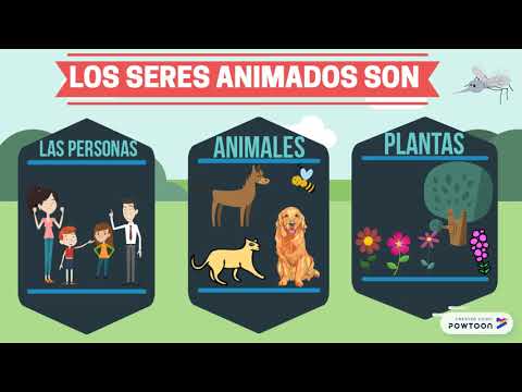 Vídeo: Como Definir Animado E Inanimado