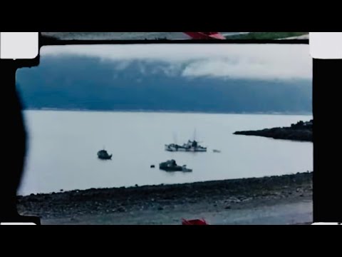 Oisín Leech - Cold Sea 2