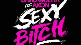 Video thumbnail of "David Guetta feat. Akon - Sexy Bitch [Lyrics in Description]"