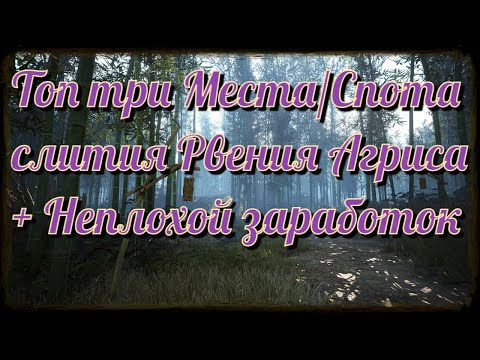 Black Desert / BD: Топ 3 Места/Спота слития Рвения Агриса + Неплохой заработок