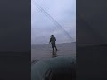 #ловляокуня #черкассы #fishing #рыбалка #рыба