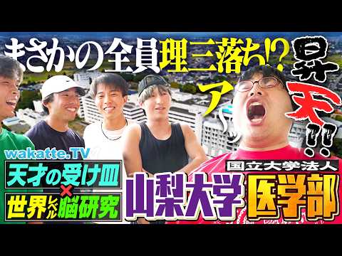 wakatte.tv - YouTube