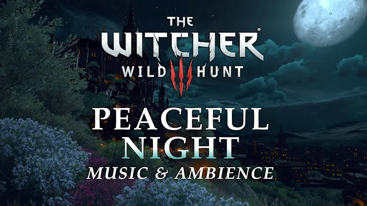 The Witcher Music & Ambience | Peaceful Night in T...