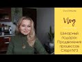 vlog хорошего настроения. #успеть_начать_до_нового_года2022