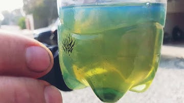 Проверка ТНВД на стружку.дизель.Проверка дизельного топлива на наличие стружки