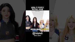 키 차이 | tripleS | 윤서연 신위 마유 주빈