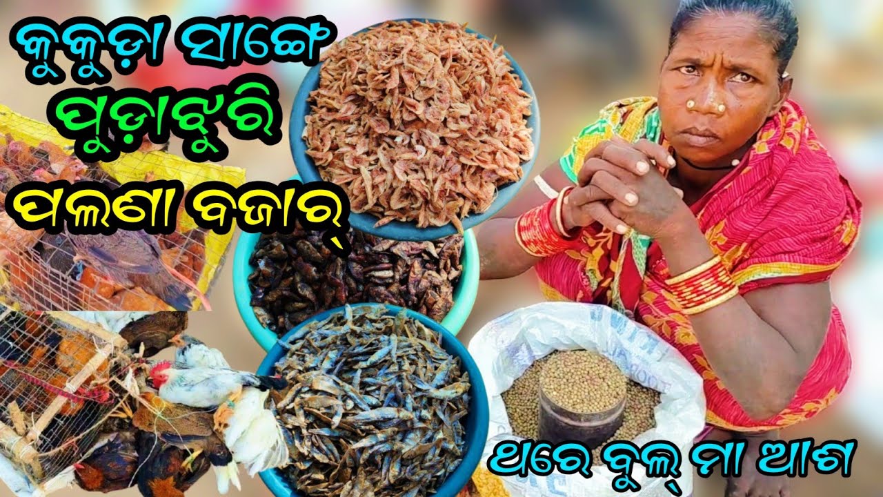 କୁକୁଡ଼ା ସାଙ୍ଗେ ପୁଡ଼ା ଝୁରି ବଜାର୍ || କଳାହାଣ୍ଡି ପଲଣା ବଜାର୍ || କୁକୁଡ଼ା,ଶୁଖୁଆ, ପନିପରିବା @Bazarvloger 