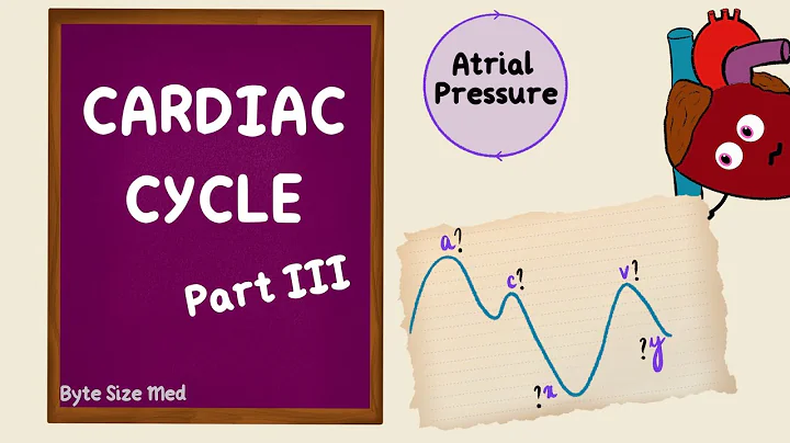 Cardiac Cycle | Atrial Pressure | Part 3 | Jugular Venous Pulse | JVP | Cardiac Physiology