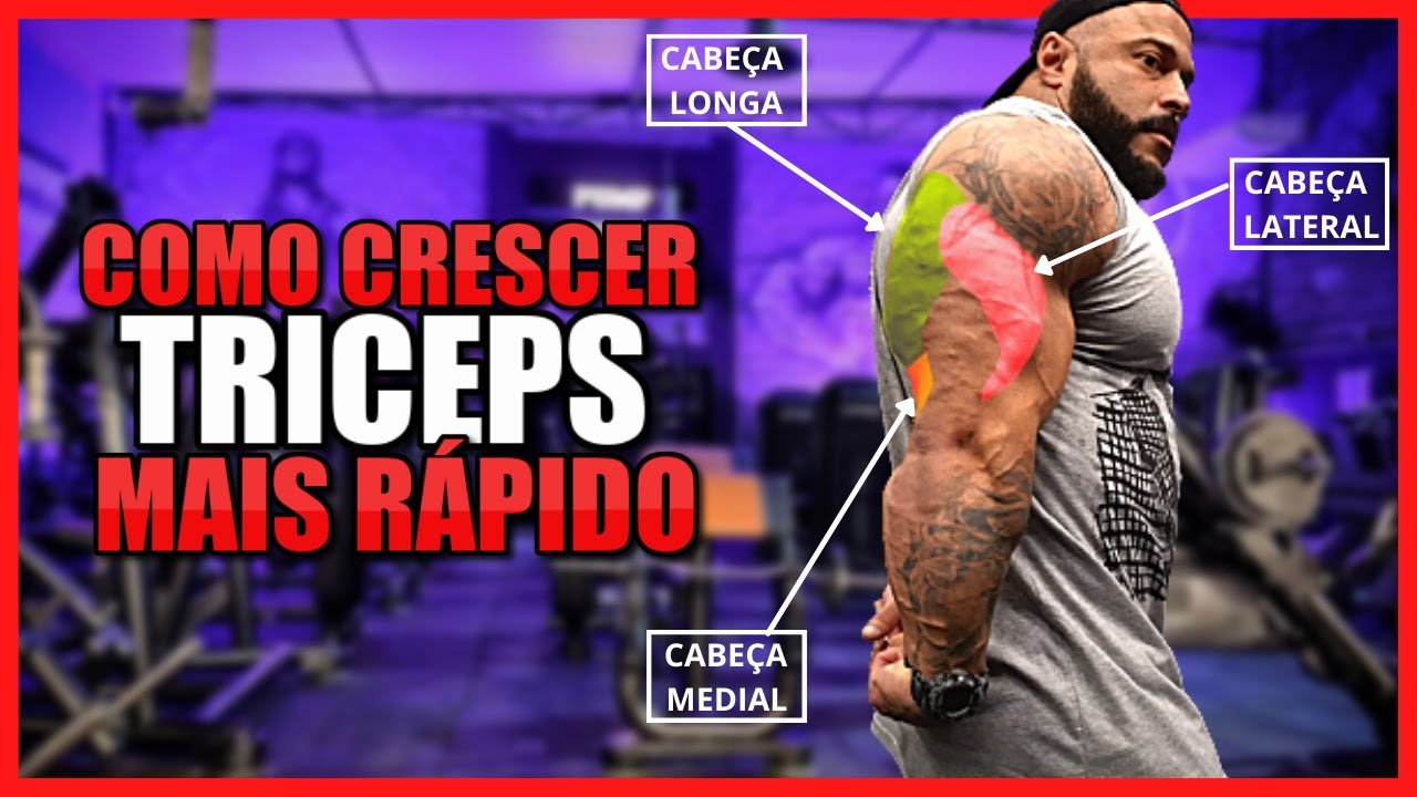 COMO CRESCER TRICEPS MAIS RAPIDO [TREINO COMPLETO]