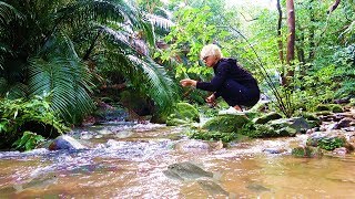 肉食魚の楽園。南の島で釣りをしたら無限に釣れ続けた！！！【大自然、ASMR】