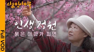 혹독한 겨울을 이겨내고, 생명을 틔우는 강인한 매화처럼. 그렇게 삽시다 | KBS 다큐 인사이트   인생정원: 붉은 매화가 피면 220623 방송