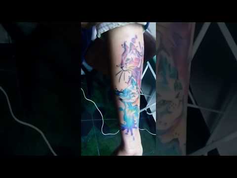 Tatuaje Gatos watercolor.Tegua