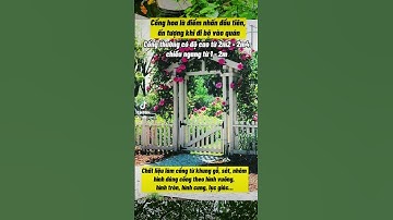 Cổng hoa xinh đẹp cho quán cafe phong cách Đà Lạt #dalat #thietkequancafe #thietke #misidecor