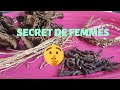 Secret de femmes  feuilles de djeka gongoli et poivre long africain