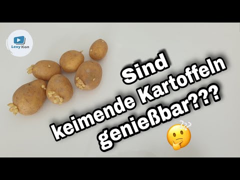 Video: Kartoffeln Keimen: Ist Das Notwendig?