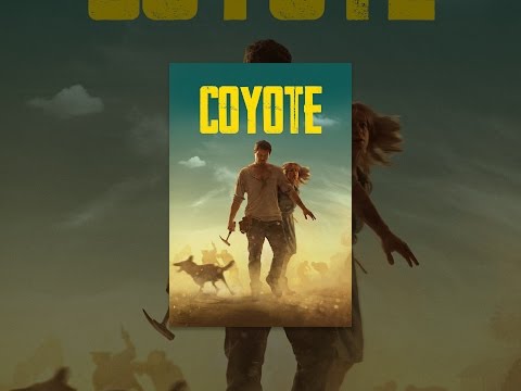 Coyote