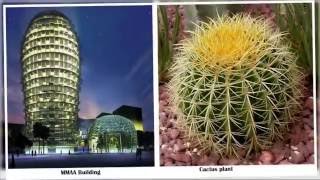 10 Nature Inspired Architectural Designs