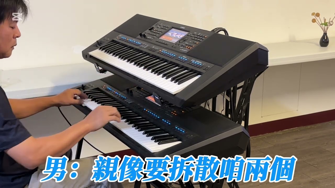 一生只愛你一人（雙電子琴演奏￼）