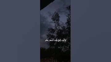 ﴿ اذ قال يوسف لابيه ﴾ | سورة يوسف | تلاوة خاشعة بصوت المنشاوي#قرآن #قرآن #المنشاوي #سورة_يوسف #quran