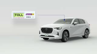 Carriles Exprés de Colorado: comparte el vehículo y conduce gratis con el transpondedor HOV3+