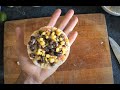 Bean and Corn Salad (or Dip): YSAC - Episode 8