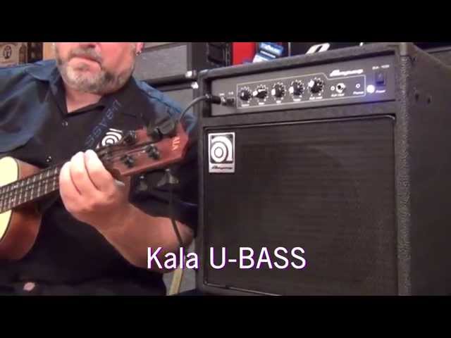 Гитарный комбоусилитель AMPEG BA-108 V2