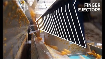 Peach halve sorting machine Sentinel II - TOMRA sorting