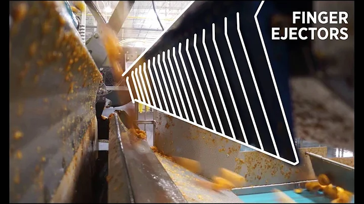 Peach halve sorting machine Sentinel II - TOMRA sorting