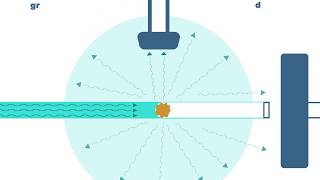 Celebrity Flow Cytometry  - simply explained | Fast Forward Science 2019 Net Worth