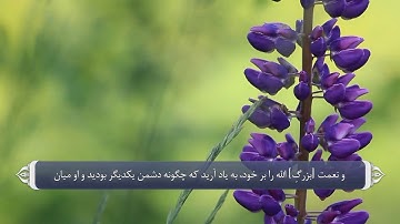 103 al emran آیات صحابه در قران - سوره آیه