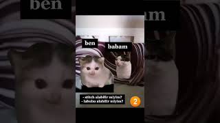 Komik Kedi Videoları V28 -  Babam Hep Bakarız Diyor #keşfet #catmemes #memes #stitch #labubu