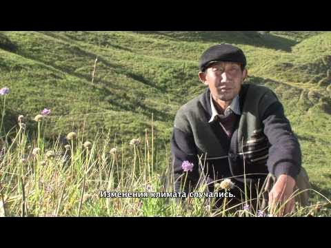 Порно әйелдер сорғыш