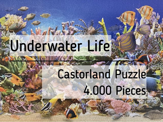 Doing the 4000 Pieces Jigsaw Puzzle Underwater Life by Castorland (a Time  Lapse Video) 