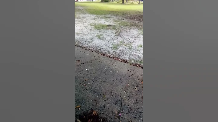 A walk in the park
