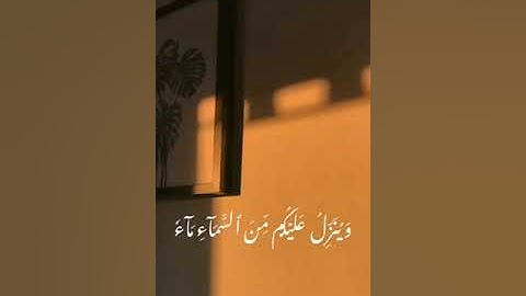 تلاوة  خاشعة من سورة الأنفال  للقارئ هاني عبدالله