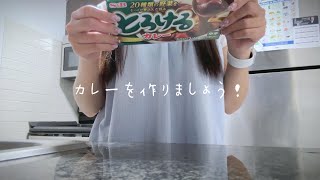 vlog｜ Making Japanese Curry｜とろけるカレー