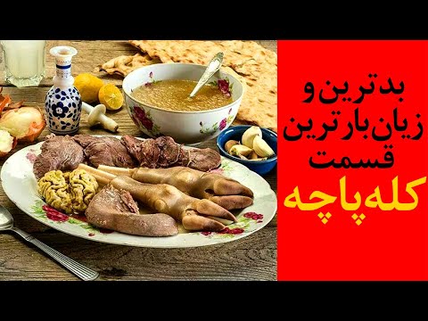 تصویری: غذای خشک سگ: ضرر یا فایده