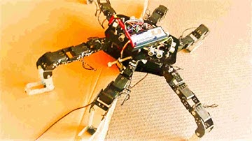 Hexapod Robot with Raspberry Pi - Overcoming Obstacles without Sensors