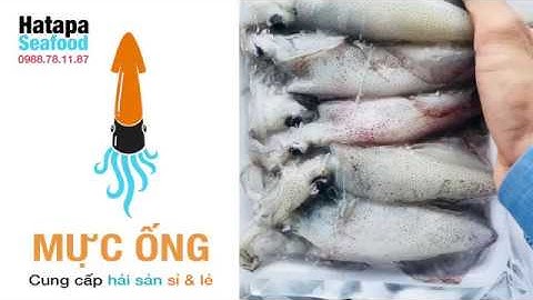 Mực ống đông lạnh