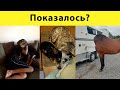 5 фото из серии ПОКАЗАЛОСЬ